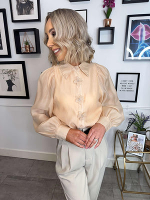 Anya Sheer Blouse - Taupe