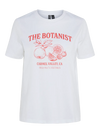 Sille Botanist Graphic Tee